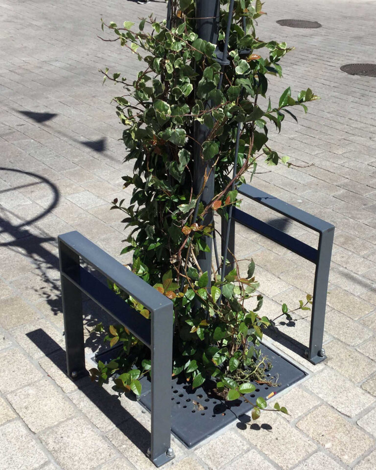 Arbre urbain - Image 3