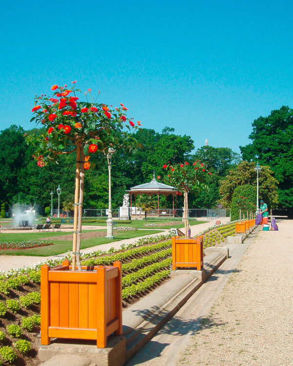 bac-datura-mahot