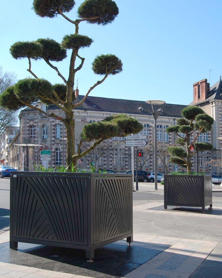 Bac Tilia – Image 4