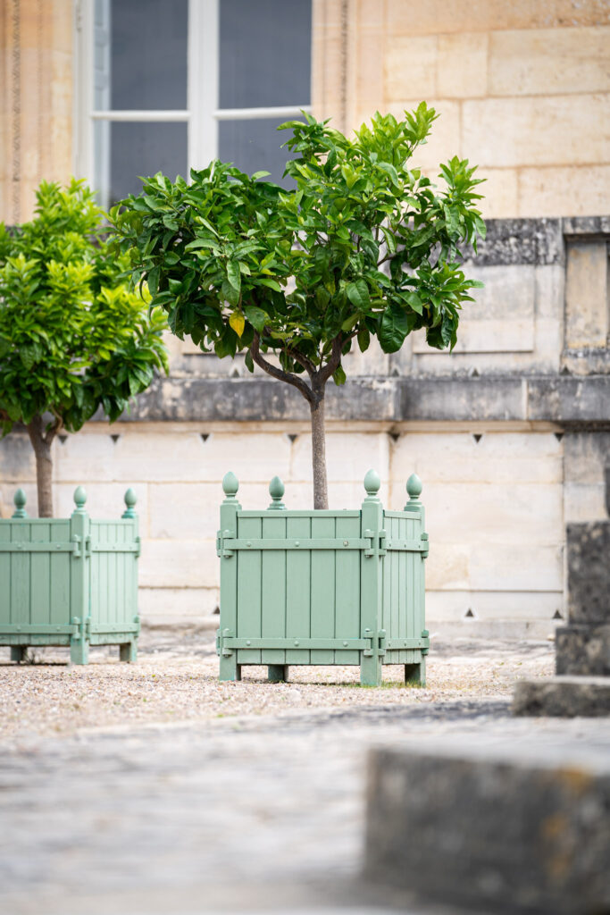 Bac Olivier – Image 3