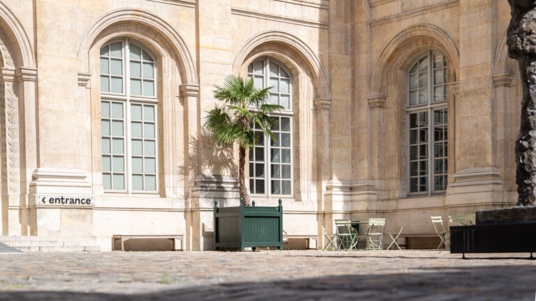 Bac Oranger - Image 3