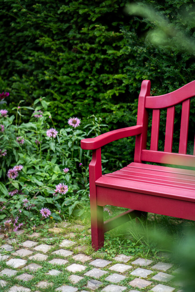 Banc Myosotis – Image 3