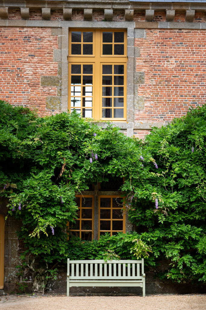 Banc Lobelia – Image 8