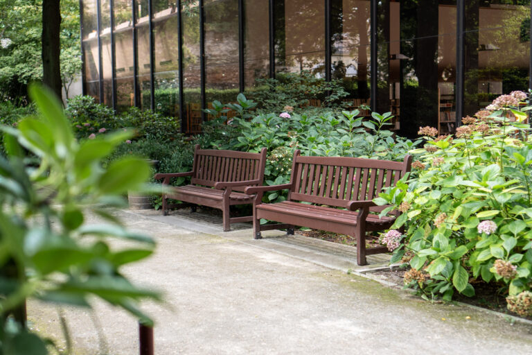 Banc Lobelia – Image 7