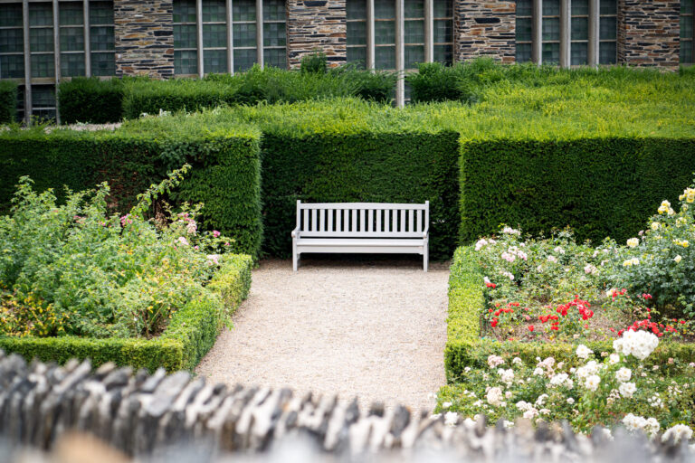 Banc Lobelia – Image 3