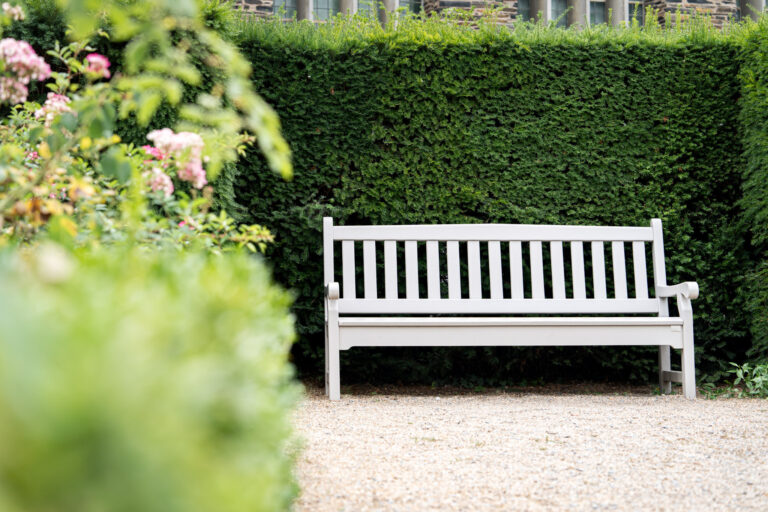 Banc Lobelia – Image 2