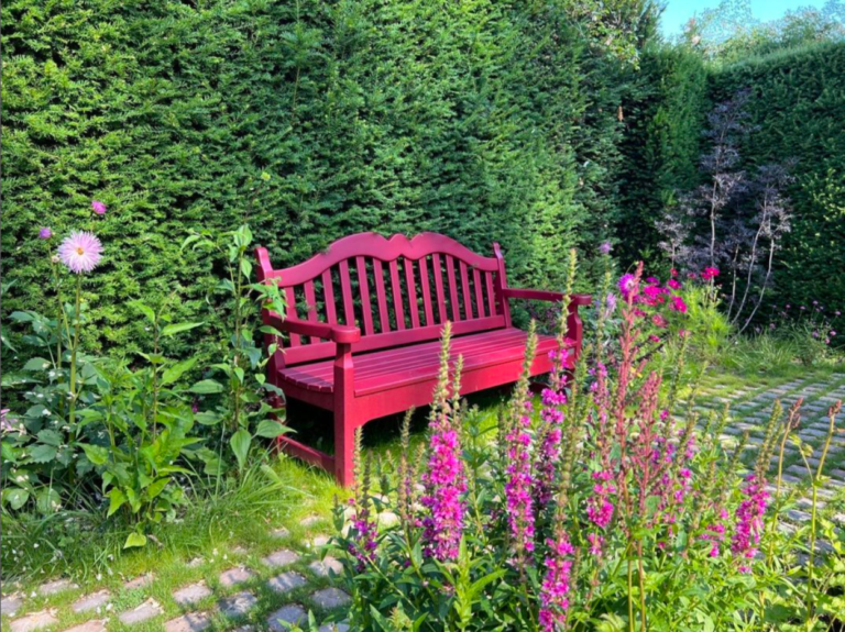 Banc Myosotis – Image 4