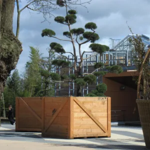 Caisse Cargo