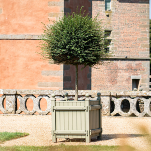 Bacs d'orangerie