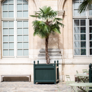 Bac Oranger