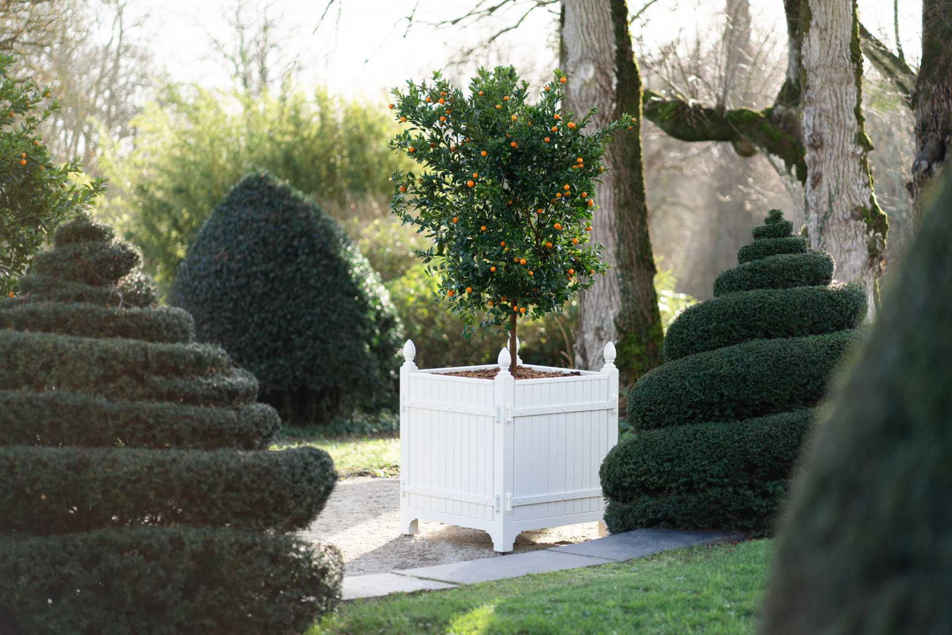Mobilier d'orangerie - Château du Pin